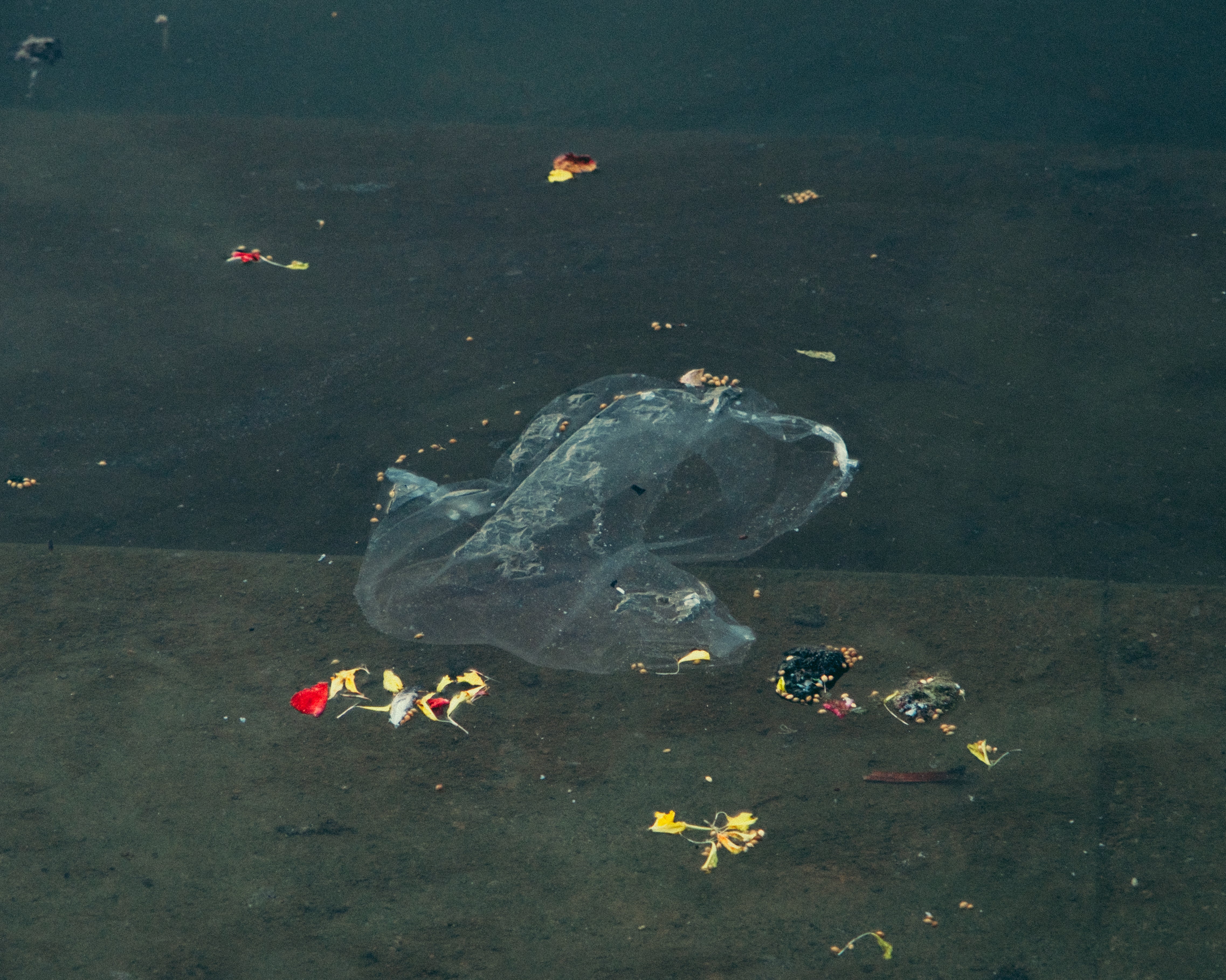 Harnoor Juneja - Sacred Or Scarred