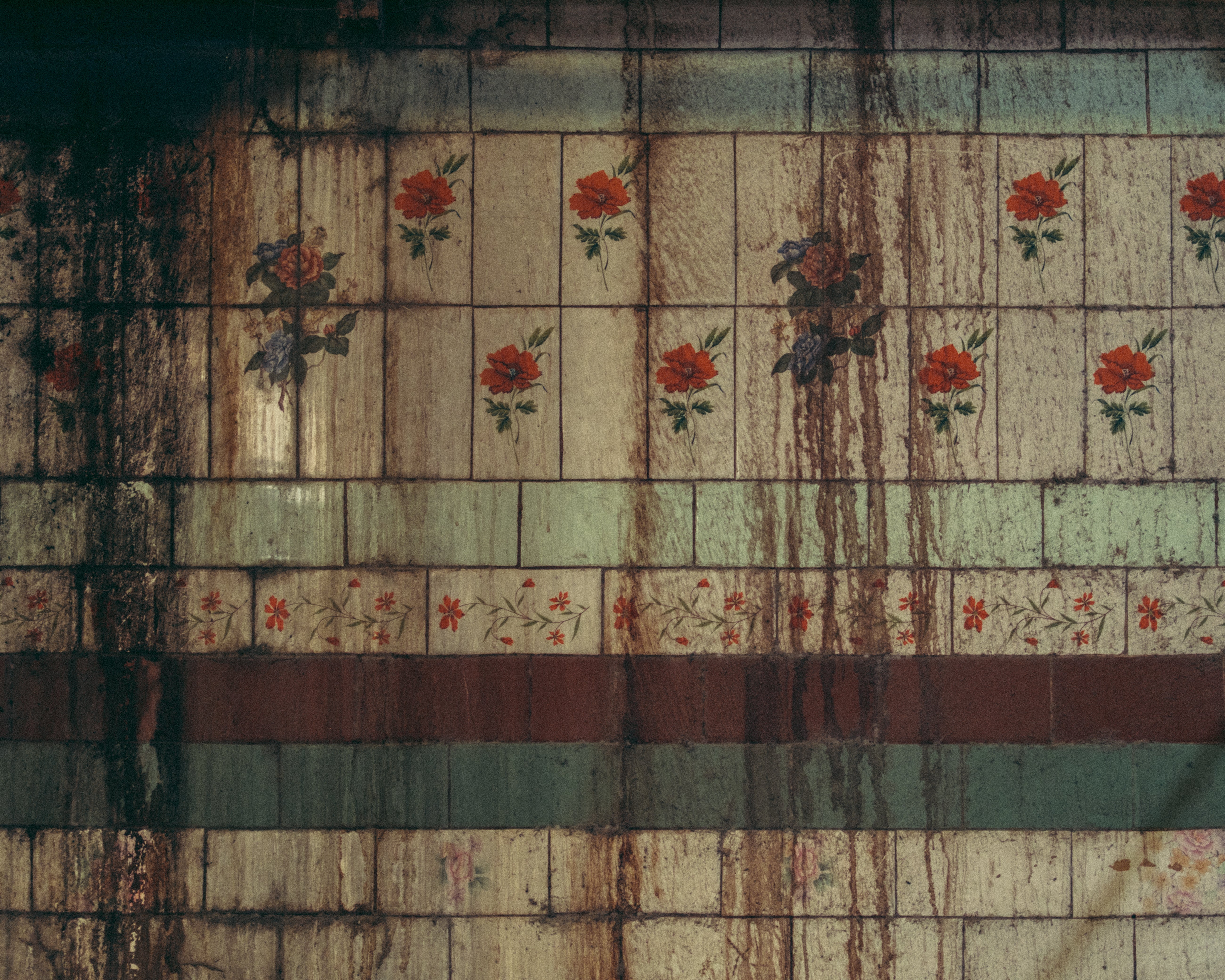 Harnoor Juneja - Even Flowers On The Wall Die