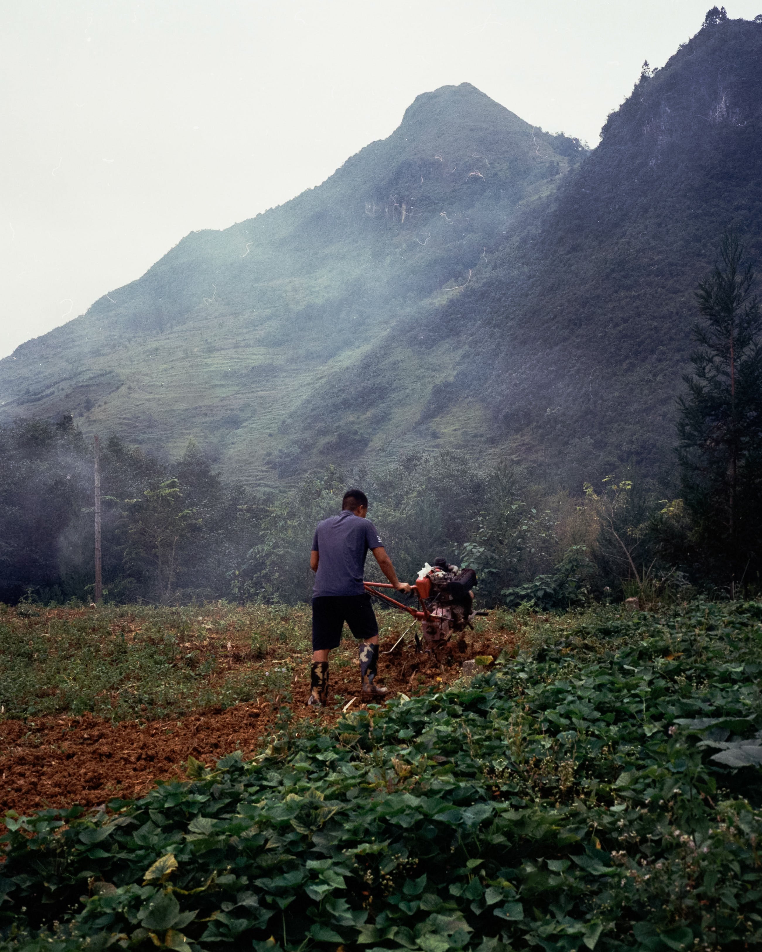 Sushant Deshmukh - Untitled (Vietnam)