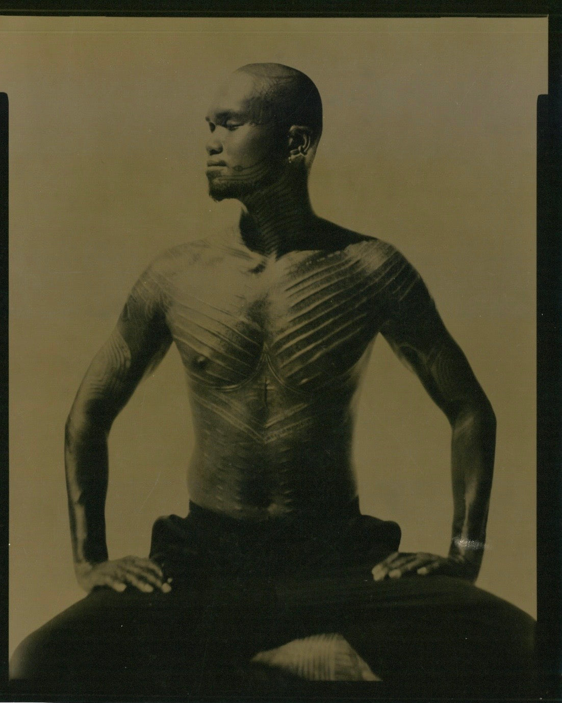 Tejas Morey - Vaults of Rudra - Arcadian